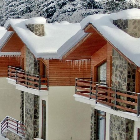 Villa Mtashi Bakuriani Dış mekan fotoğraf
