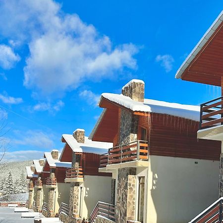 Villa Mtashi Bakuriani Dış mekan fotoğraf