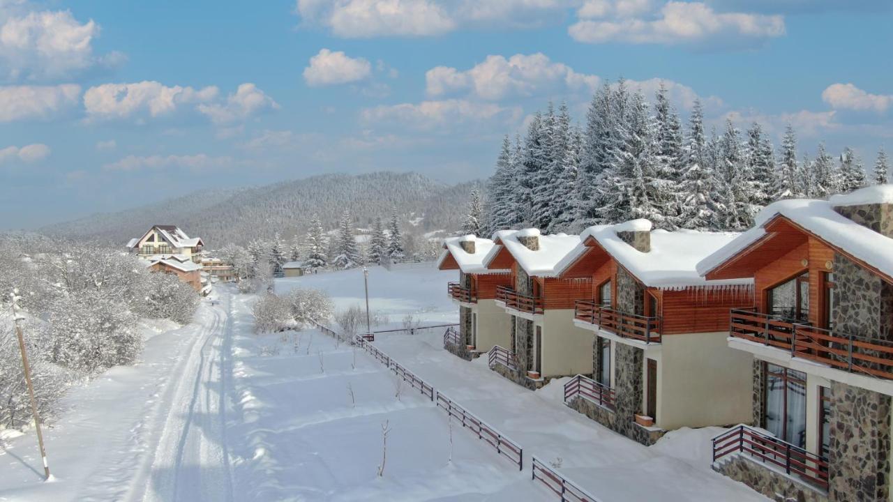 Villa Mtashi Bakuriani Dış mekan fotoğraf