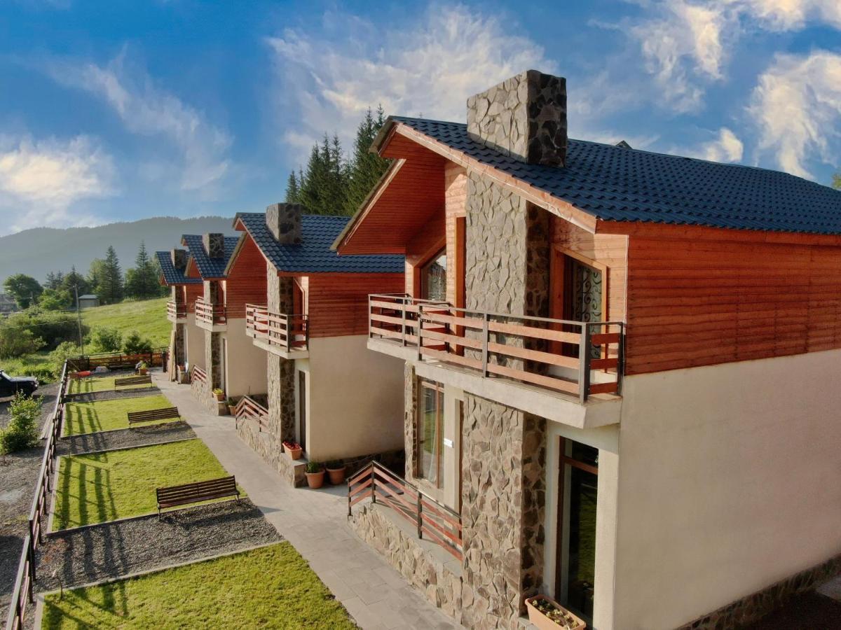 Villa Mtashi Bakuriani Dış mekan fotoğraf