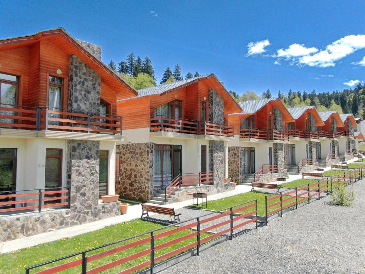 Villa Mtashi Bakuriani Dış mekan fotoğraf