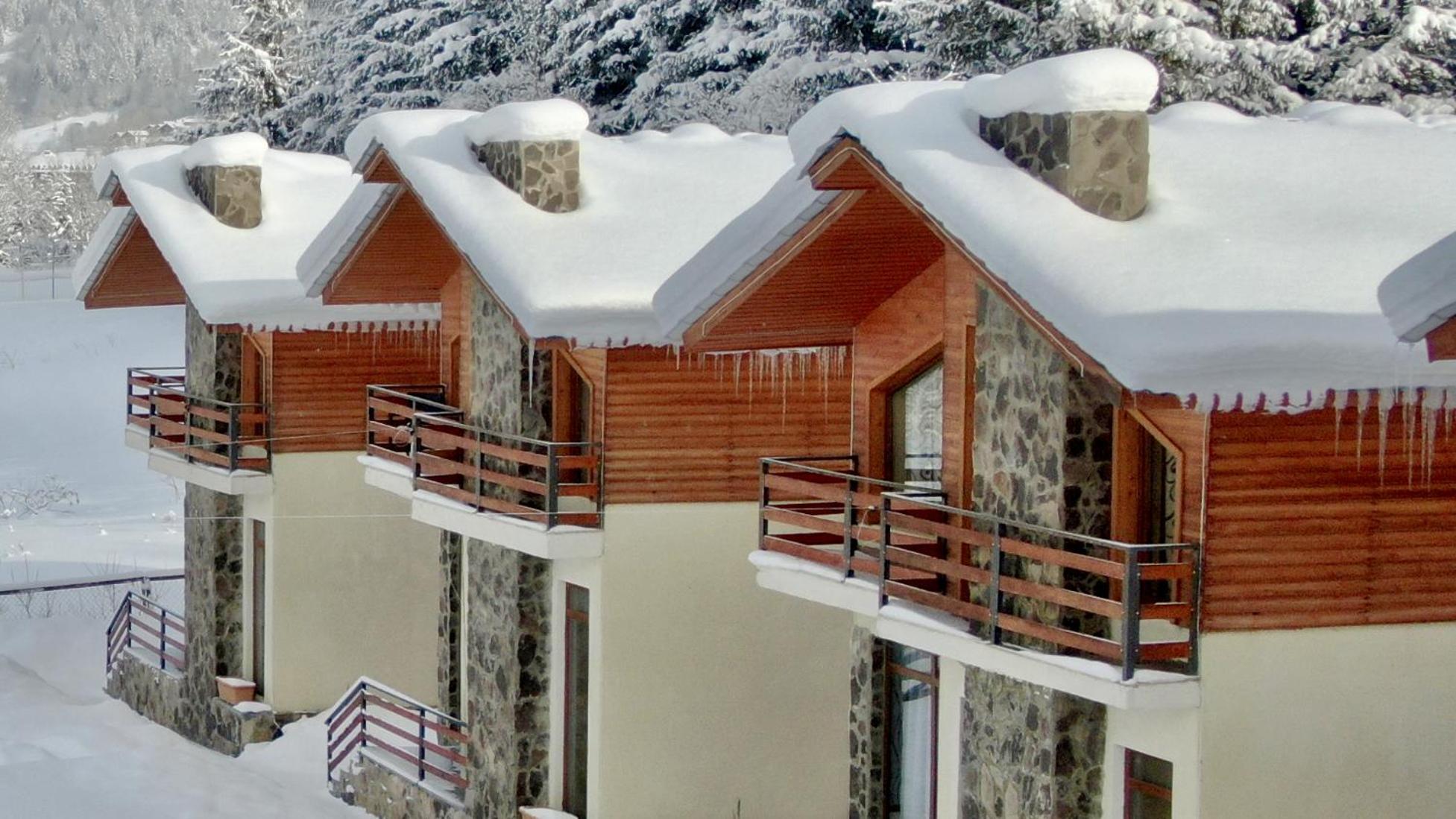 Villa Mtashi Bakuriani Dış mekan fotoğraf