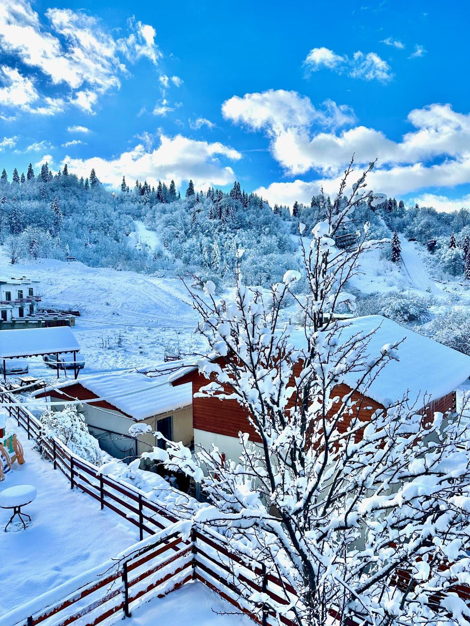 Villa Mtashi Bakuriani Dış mekan fotoğraf