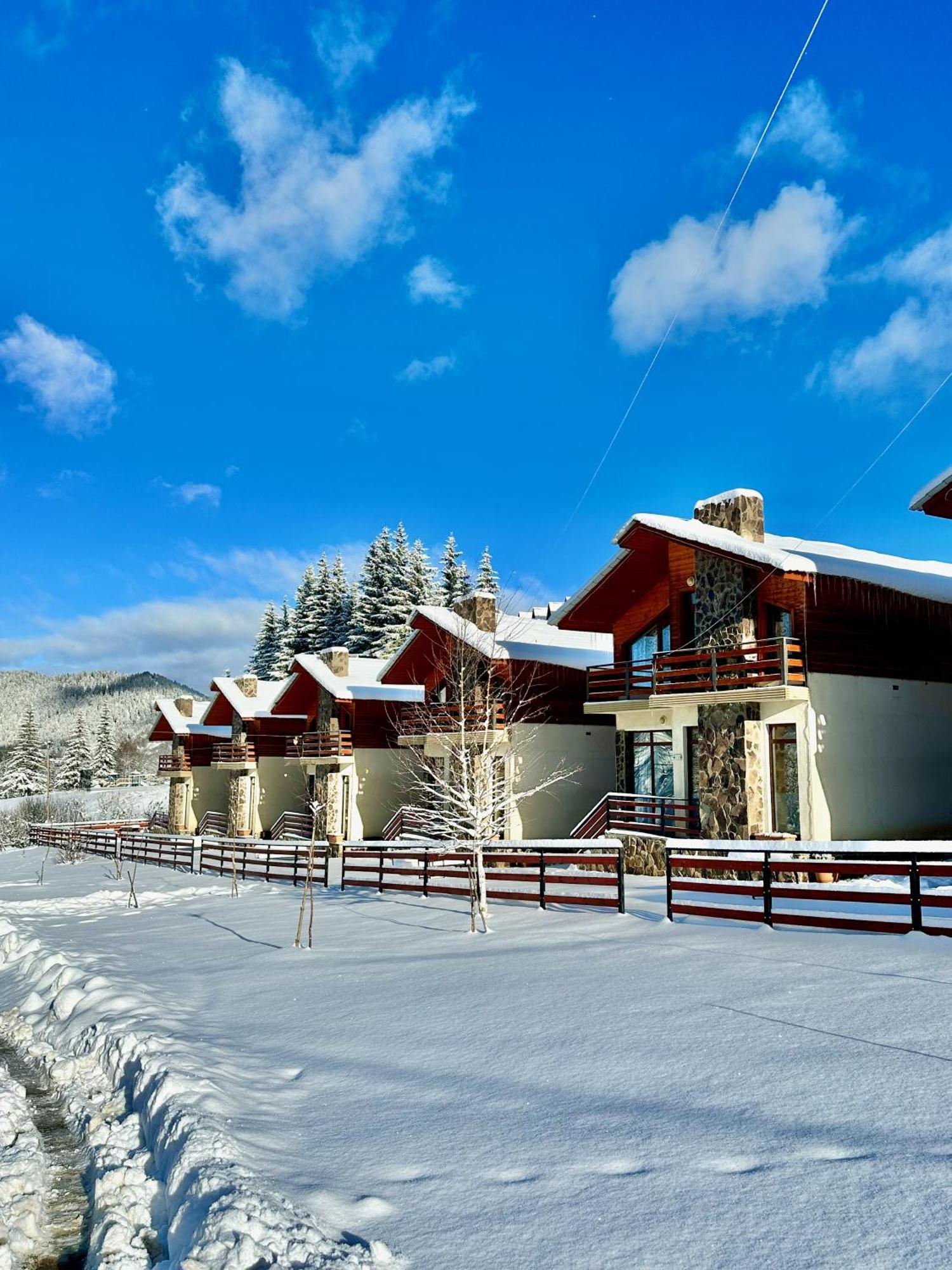 Villa Mtashi Bakuriani Dış mekan fotoğraf