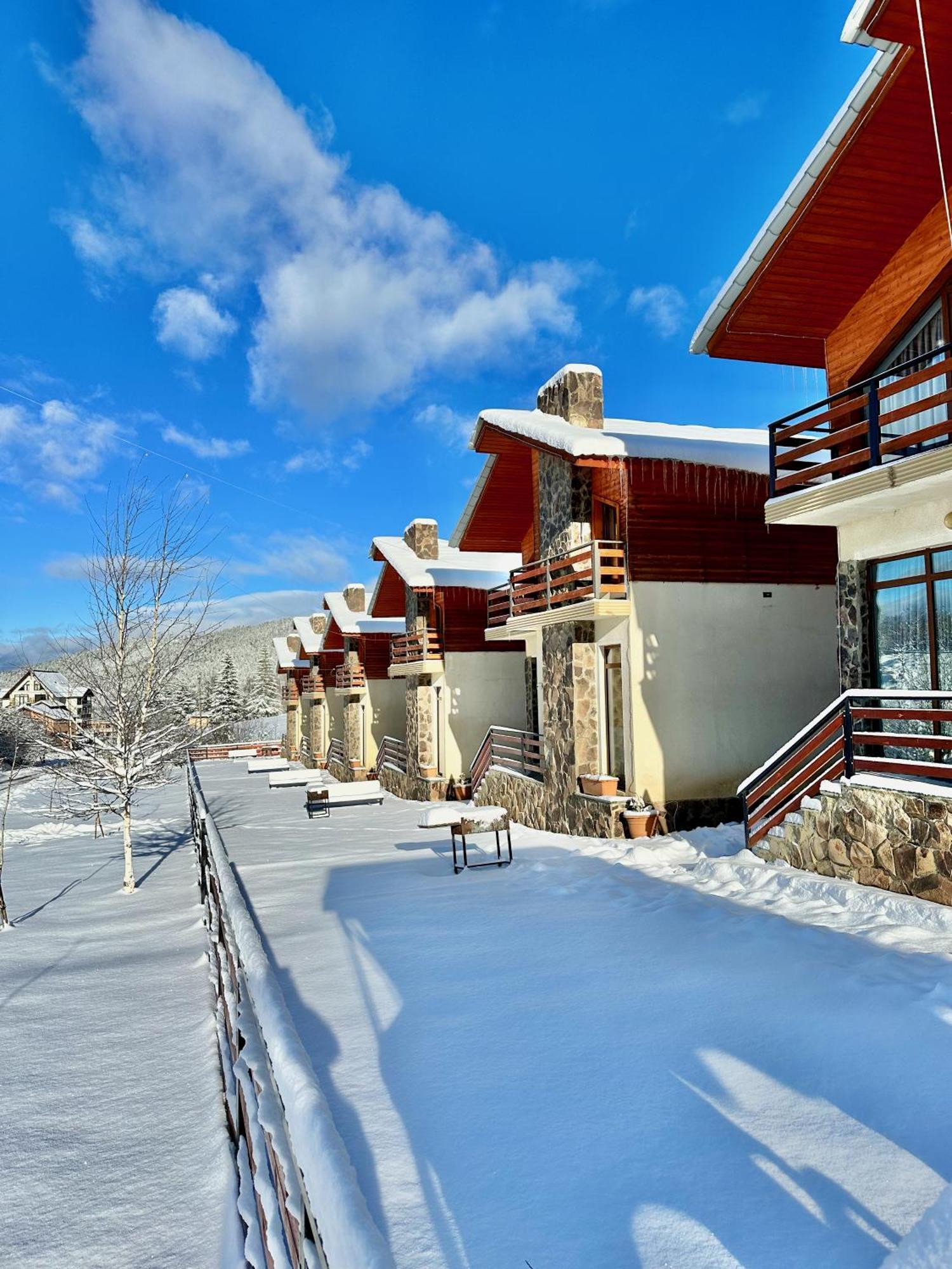 Villa Mtashi Bakuriani Dış mekan fotoğraf