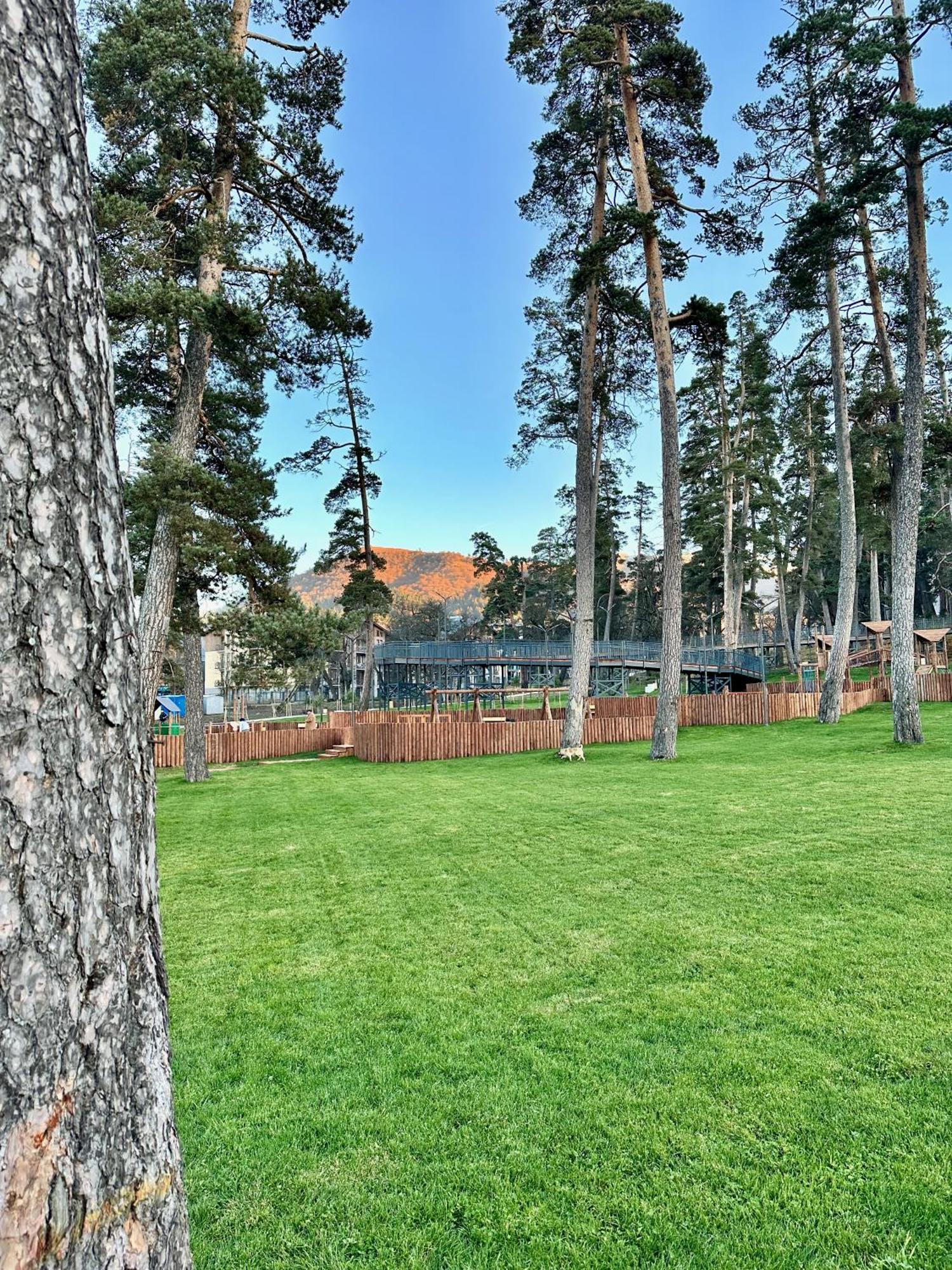 Villa Mtashi Bakuriani Dış mekan fotoğraf