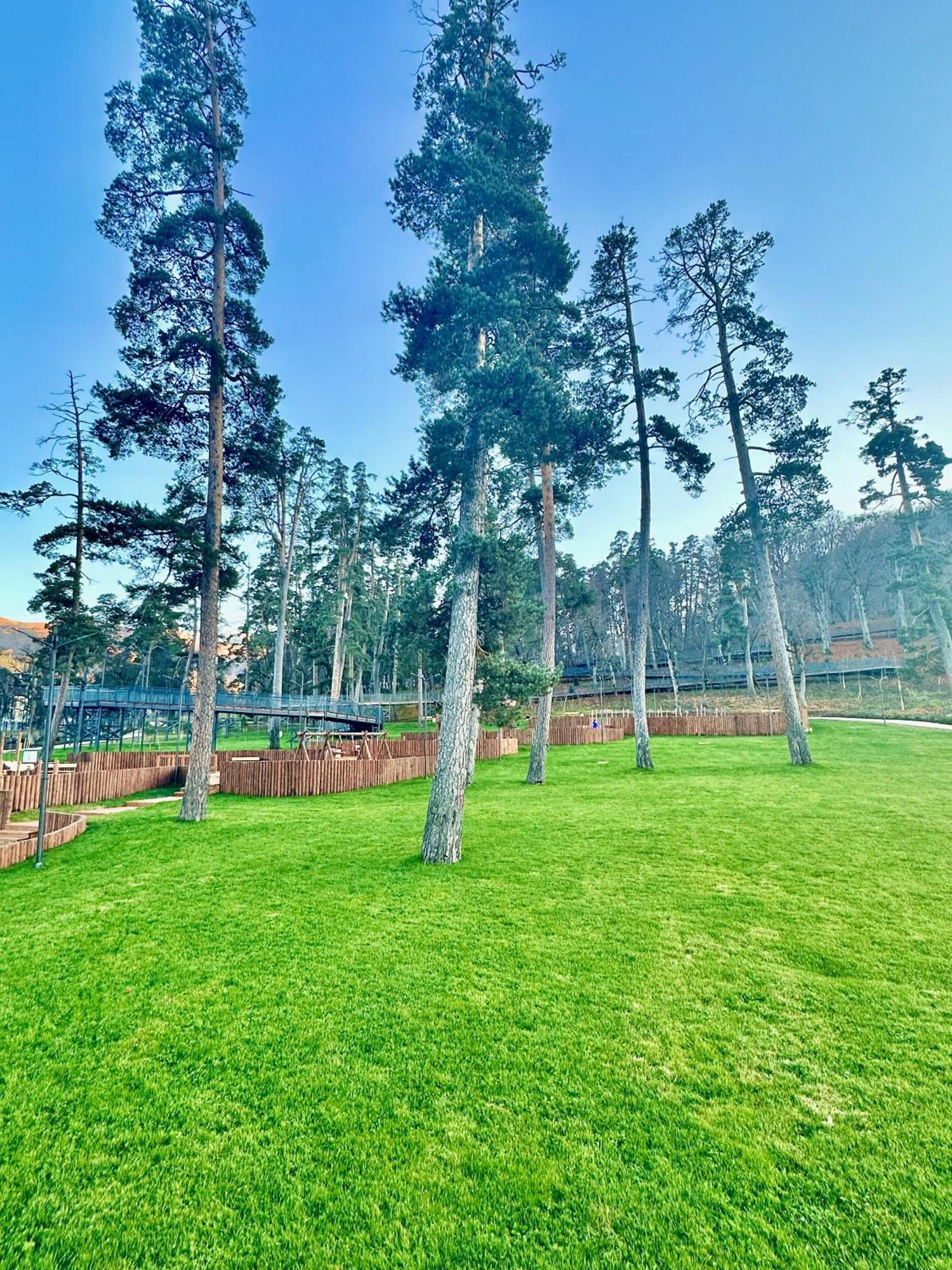 Villa Mtashi Bakuriani Dış mekan fotoğraf