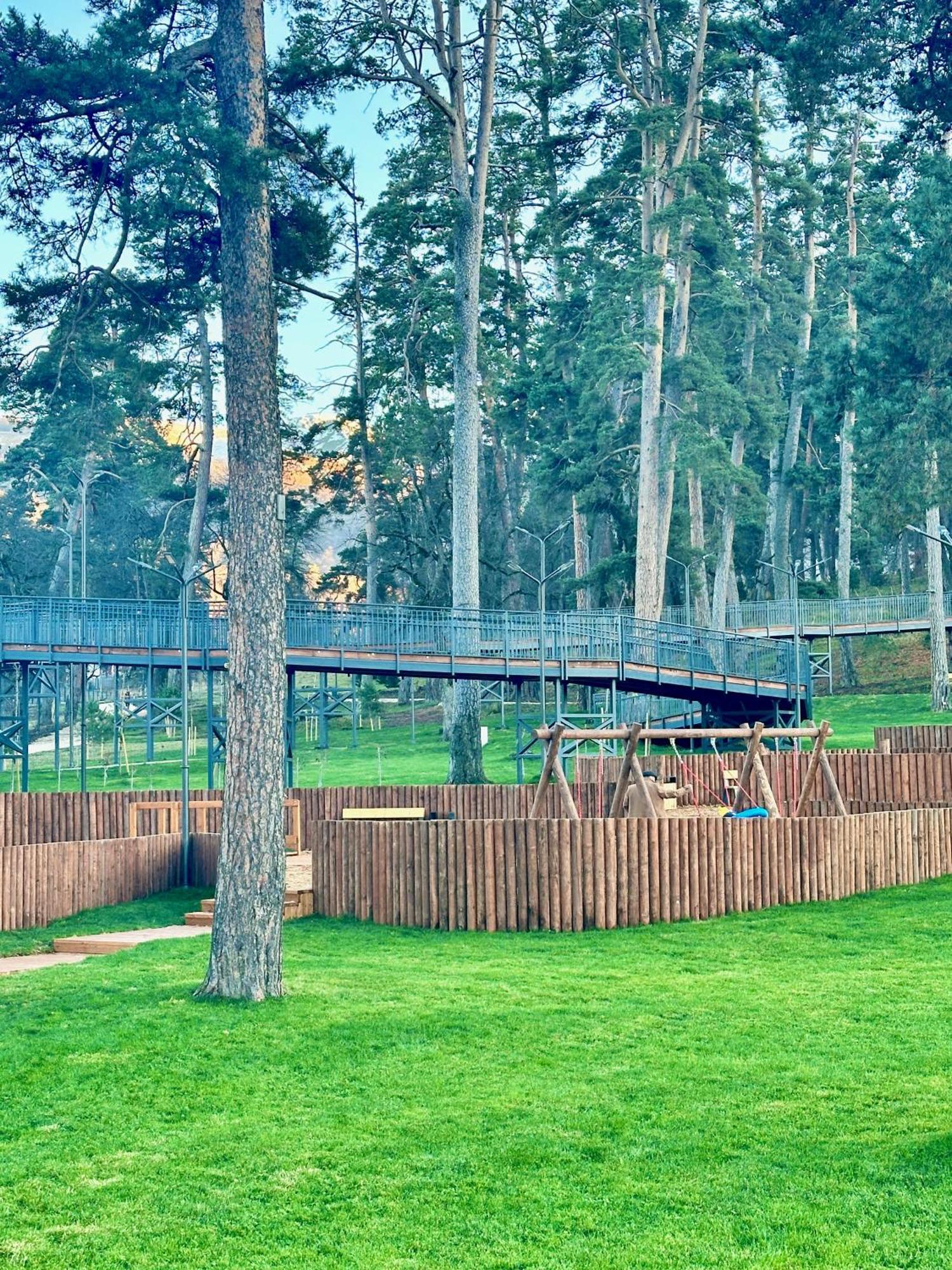 Villa Mtashi Bakuriani Dış mekan fotoğraf