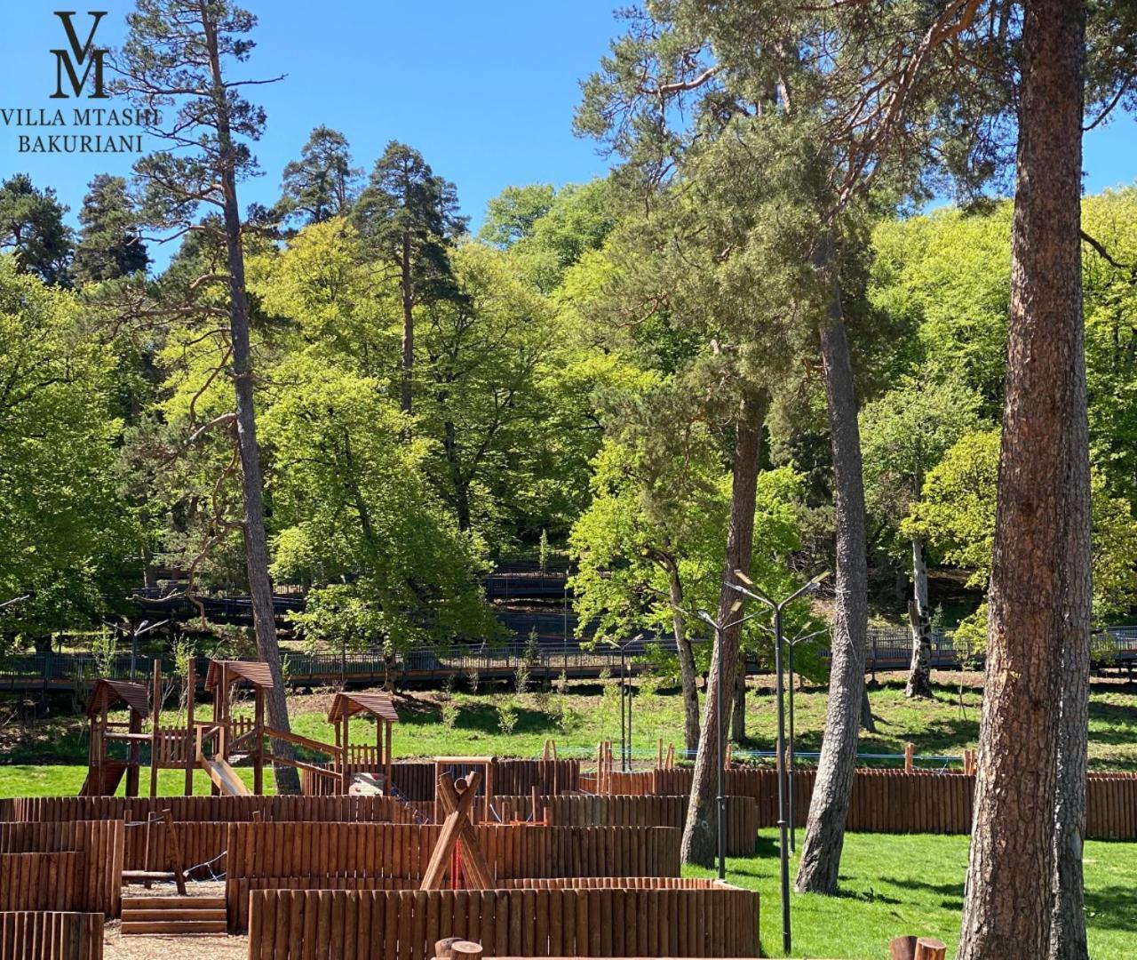 Villa Mtashi Bakuriani Dış mekan fotoğraf