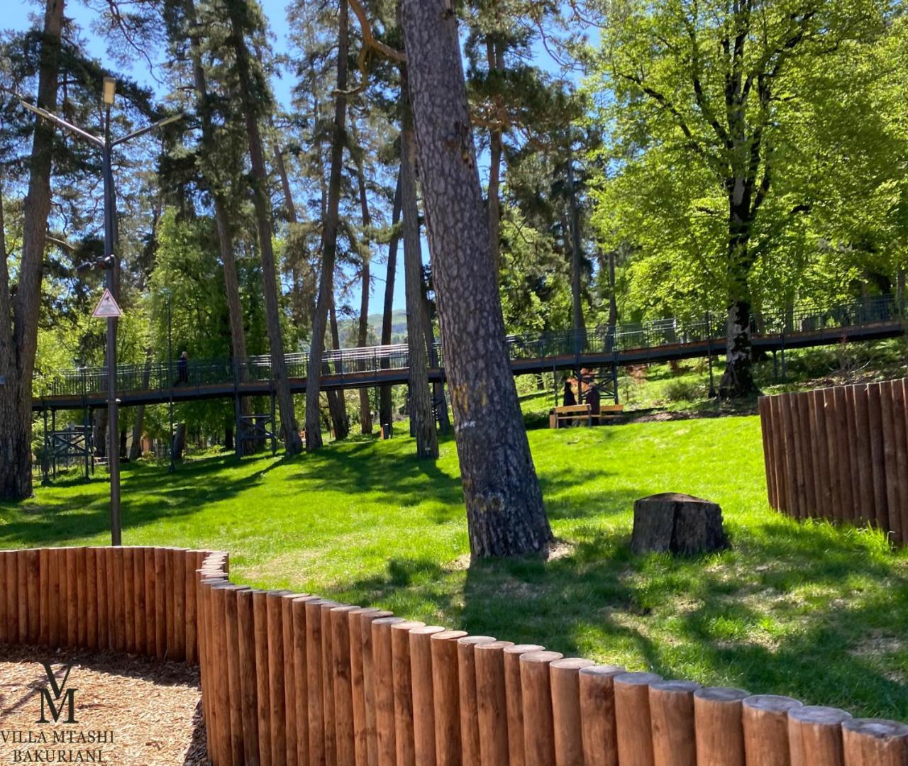 Villa Mtashi Bakuriani Dış mekan fotoğraf