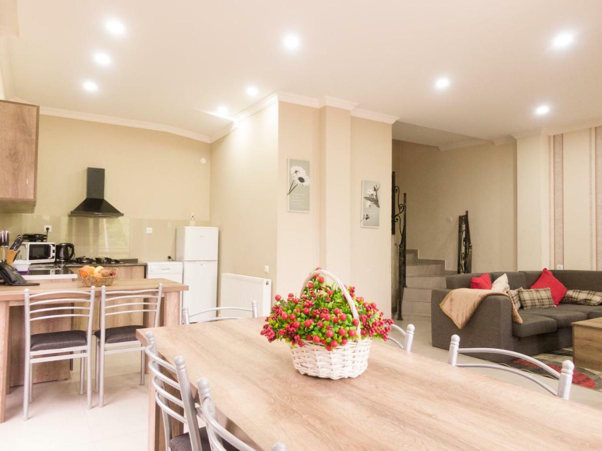 Villa Mtashi Bakuriani Dış mekan fotoğraf