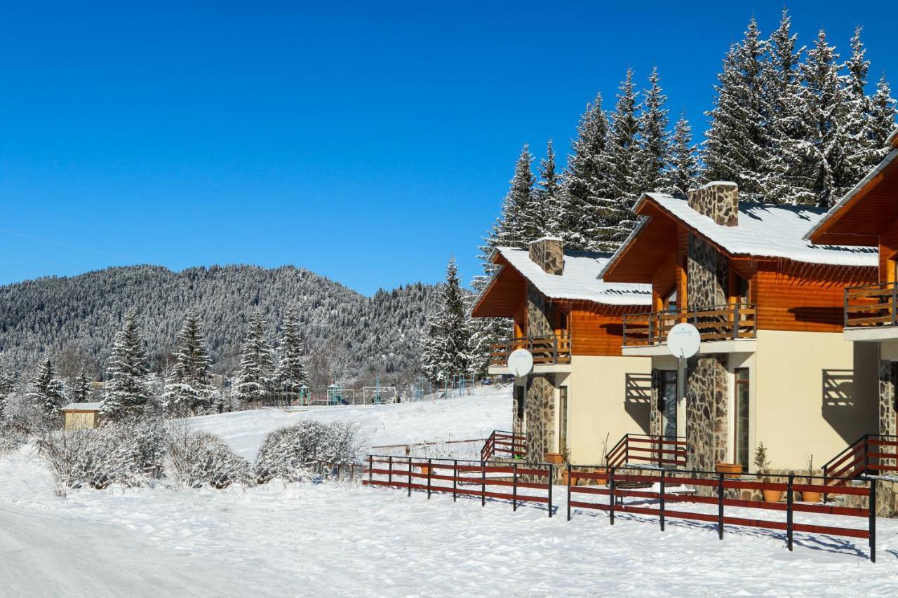 Villa Mtashi Bakuriani Dış mekan fotoğraf