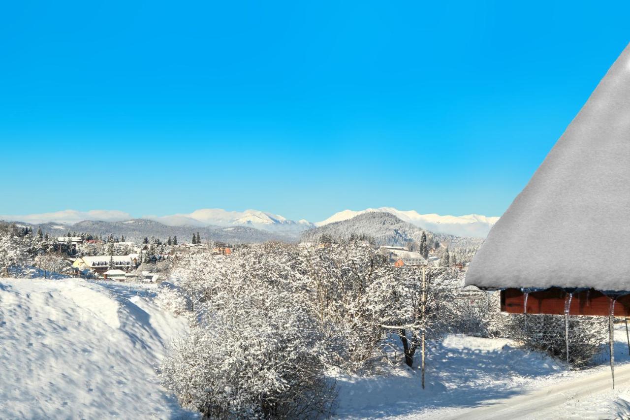 Villa Mtashi Bakuriani Dış mekan fotoğraf